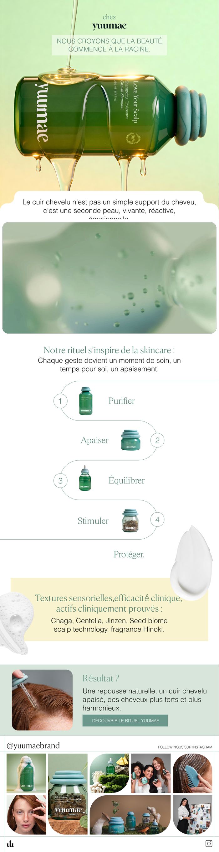 Newsletter Yuumae, soins du cuir chevelu, campagne shampoing